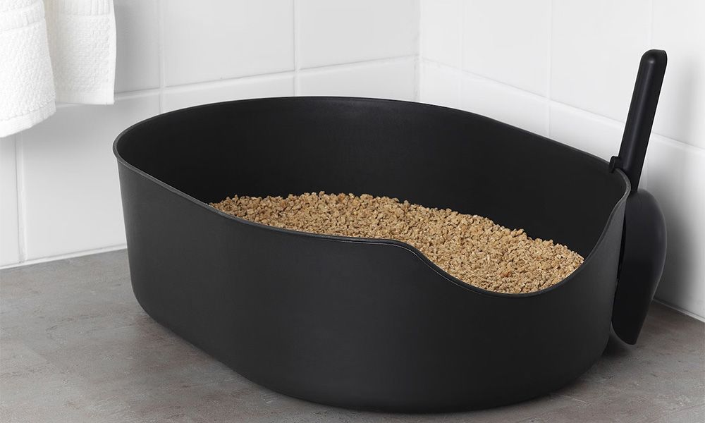 Black litter box for a cat