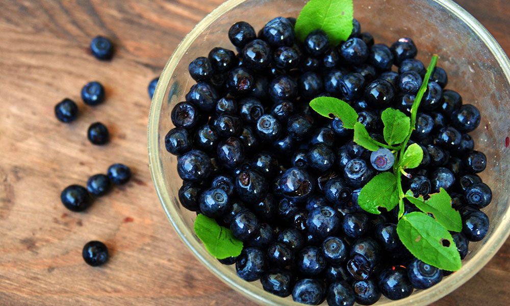 Blueberries in a bowl