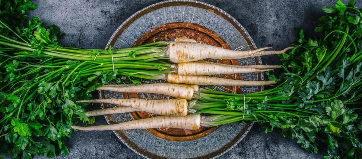 Bunches of parsnips arranged on a plate