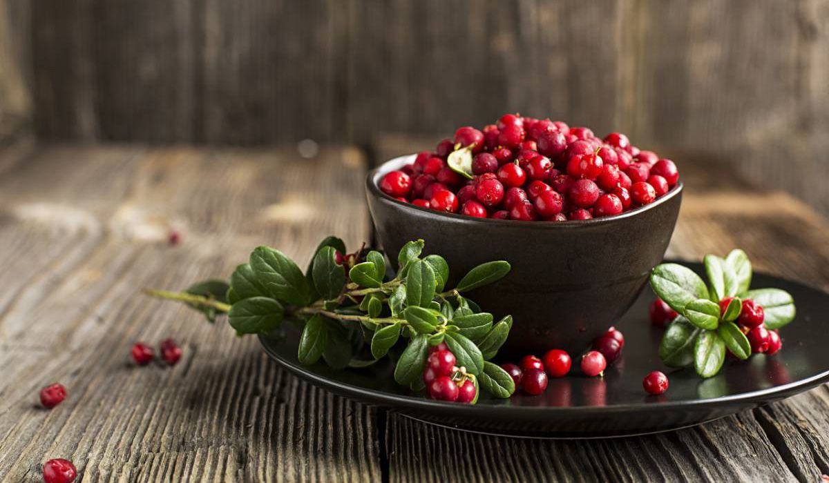 Cranberries in a bowl on a wooden table