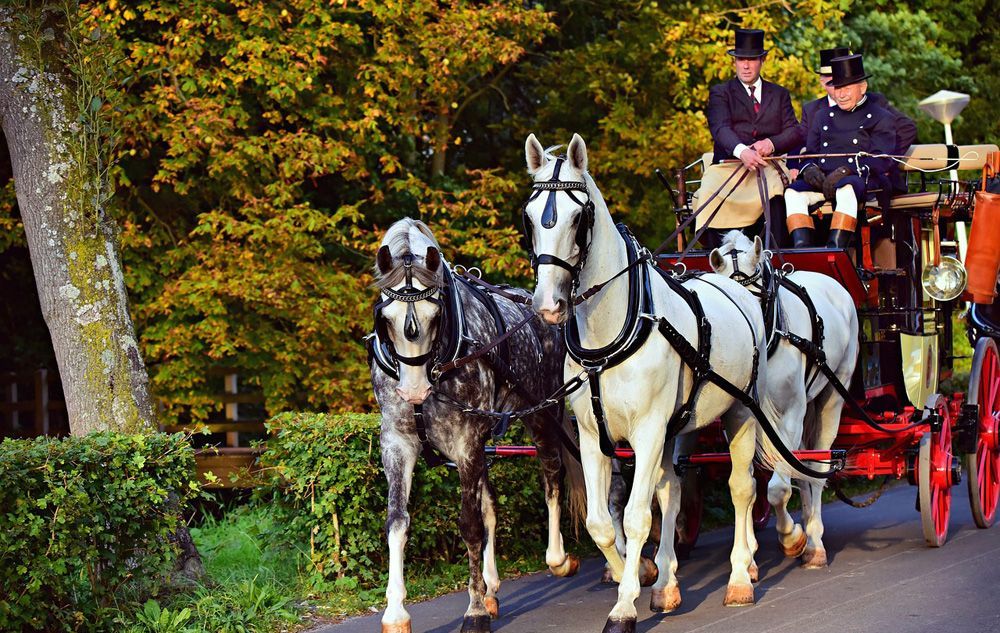 Horse drawn carriage with coachmen