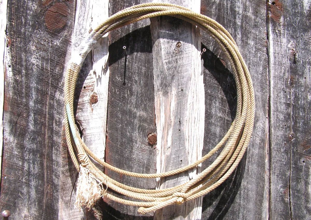 Lasso on the wall