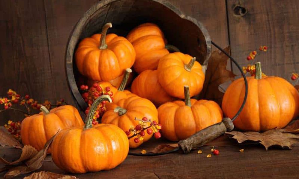 Pumpkins lying in a wooden bucket