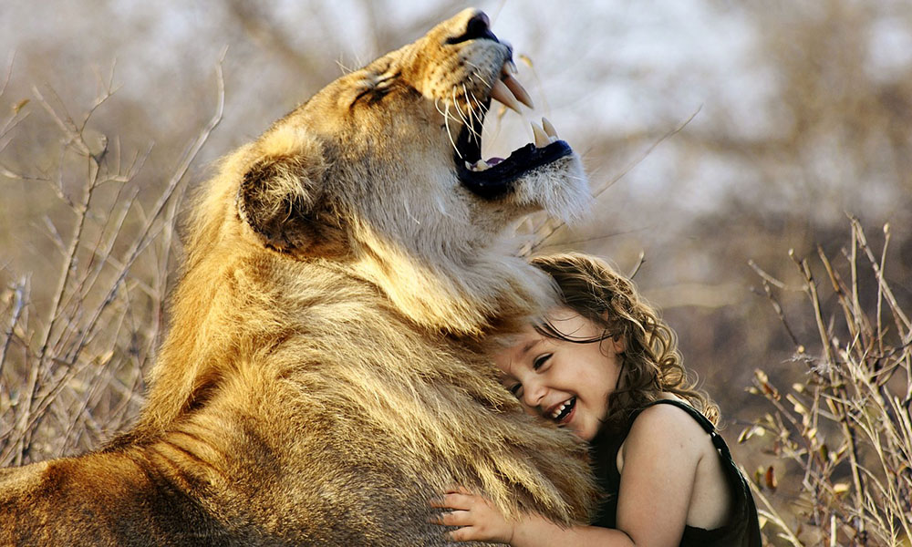 Smiling girl hugs a lion